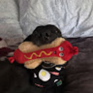 Meet your Posher, Leanna